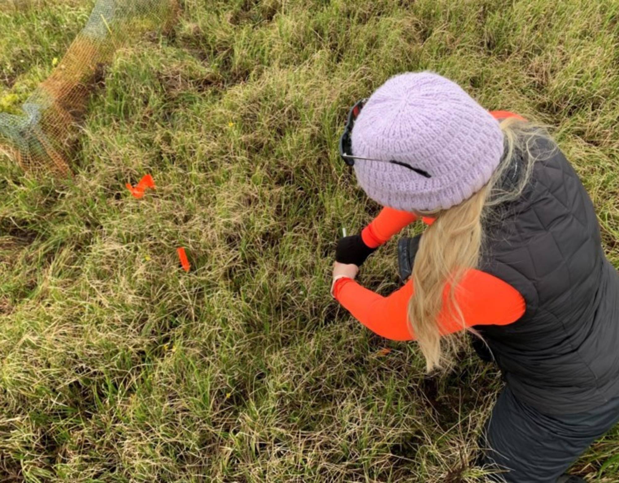 Kenzie taking soil cores for an ITEX protocol in Barrow